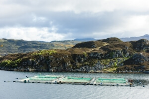 商業(yè)和家庭在線水質(zhì)監(jiān)測(cè)